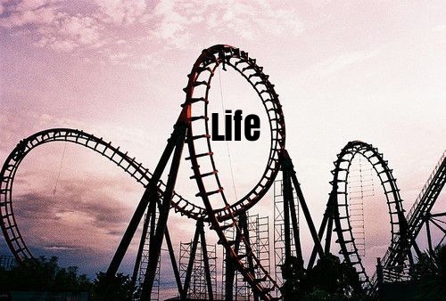 liz cirelli blog roller coaster of life